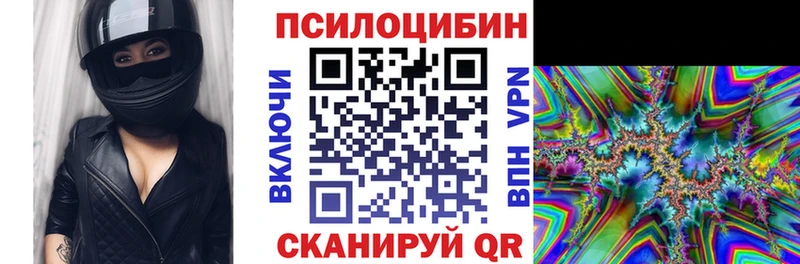 купить   Сургут  Галлюциногенные грибы Psilocybe 